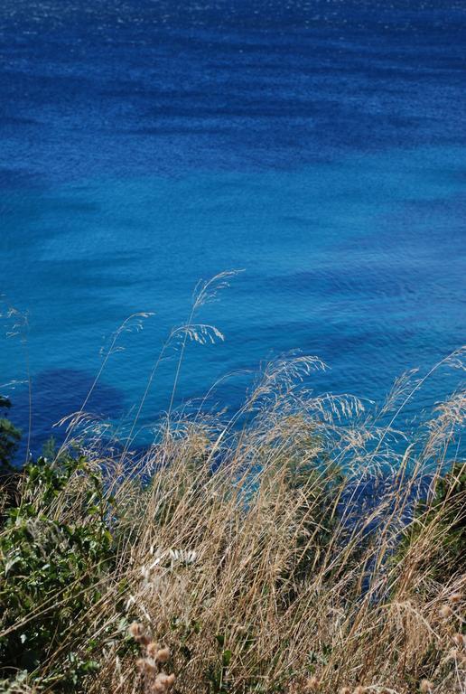 לה לבאנדו Auberge Du Cap Negre מראה חיצוני תמונה